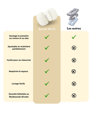 Le Kit Coussins de Grossesse V2
